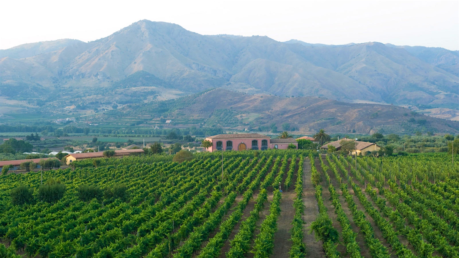 Tenute della Terre’s winery and vineyards on the slopes of Sicily’s Mount Etna.